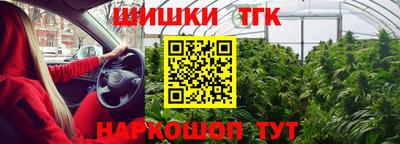 амф Волгодонск