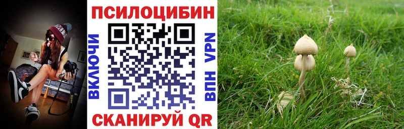 Псилоцибиновые грибы Psilocybine cubensis  Темрюк 