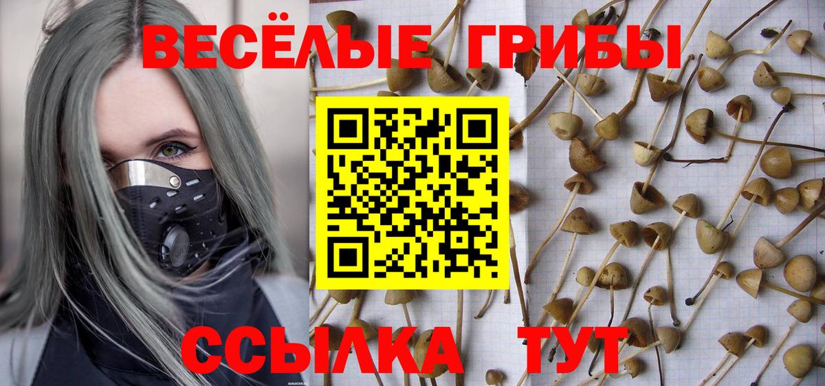 Псилоцибиновые грибы прущие грибы Темрюк